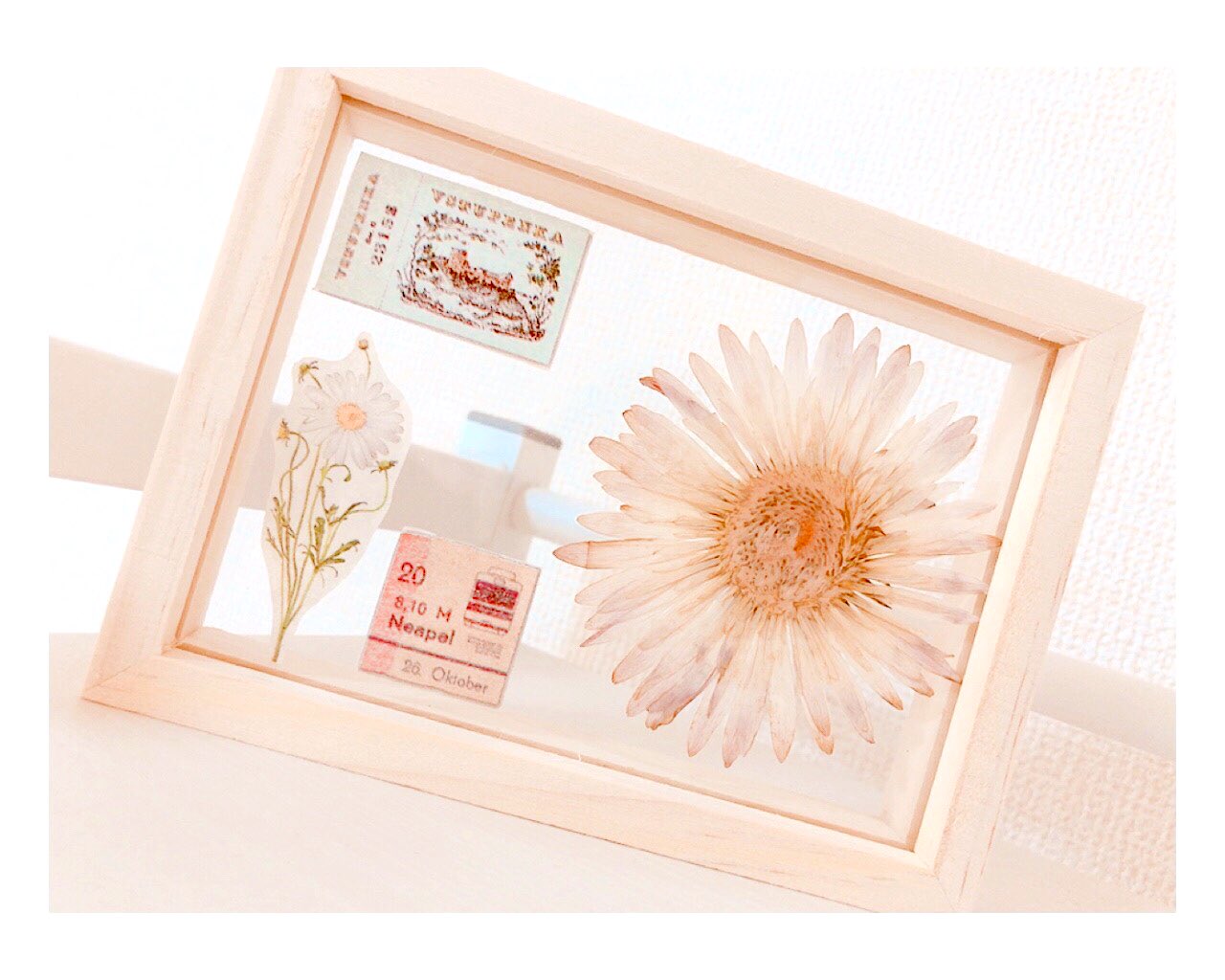 もも穂 Al Twitter 材料費0円ちょっとで可愛いフレームが出来た かわいい えらい 好きな花を押し花にして セリアでフォトフレーム買って マスキングテープと一緒に挟めば完成 T Co Pqmxzri8nb Twitter