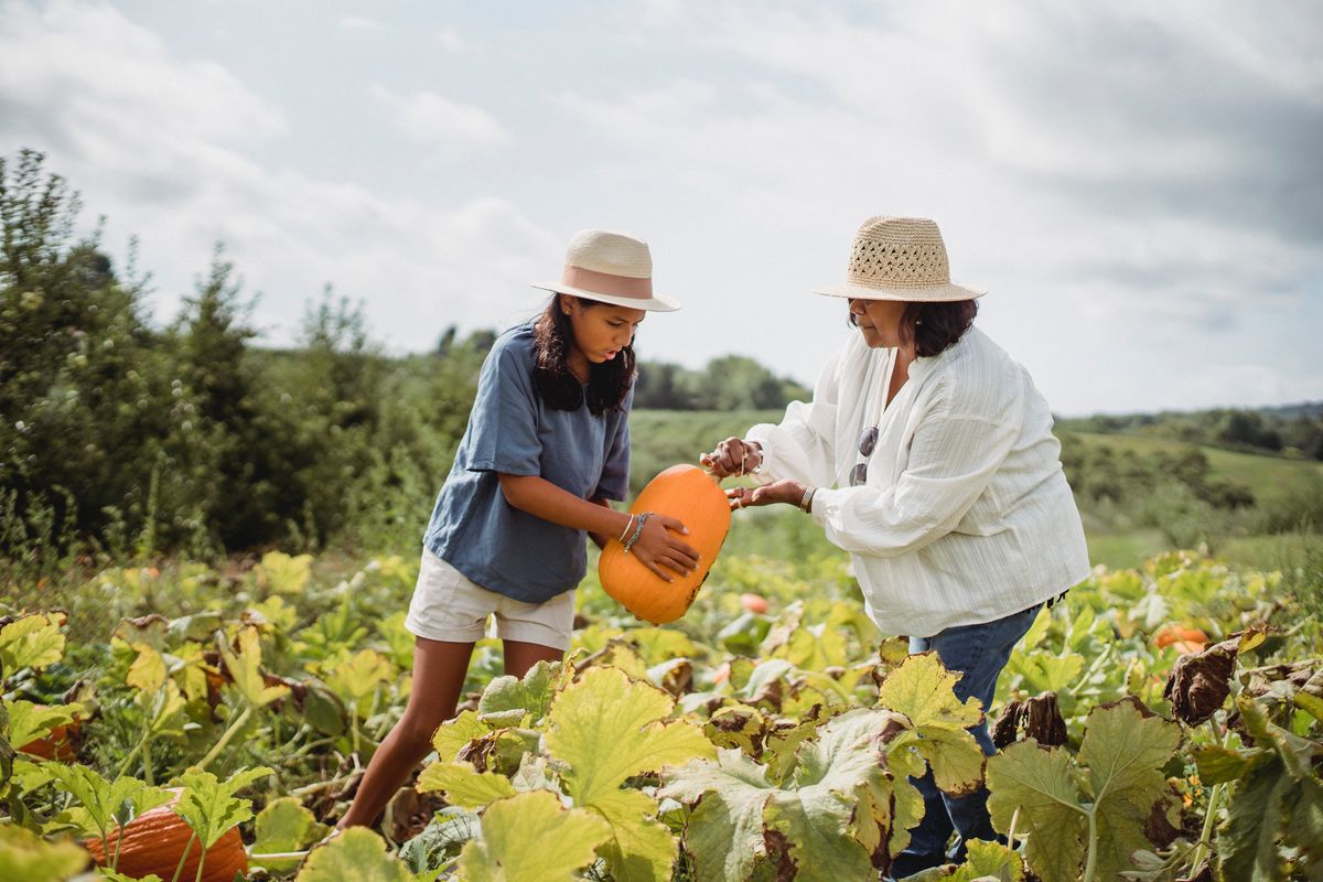 AsapChecks's tweet photo. Happy World Food Day!
Let's make an impact in a simple yet healthy way and be part of a change. Choosing and eating healthier kinds of food is very important for our well-being and the growth of our economy. #food #worldfoodday2021 #farmerfirst

https://t.co/O2Ie89RgfK https://t.co/OaPuig6fX8