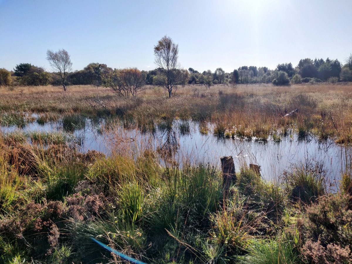 Mark Cubitt tweet media