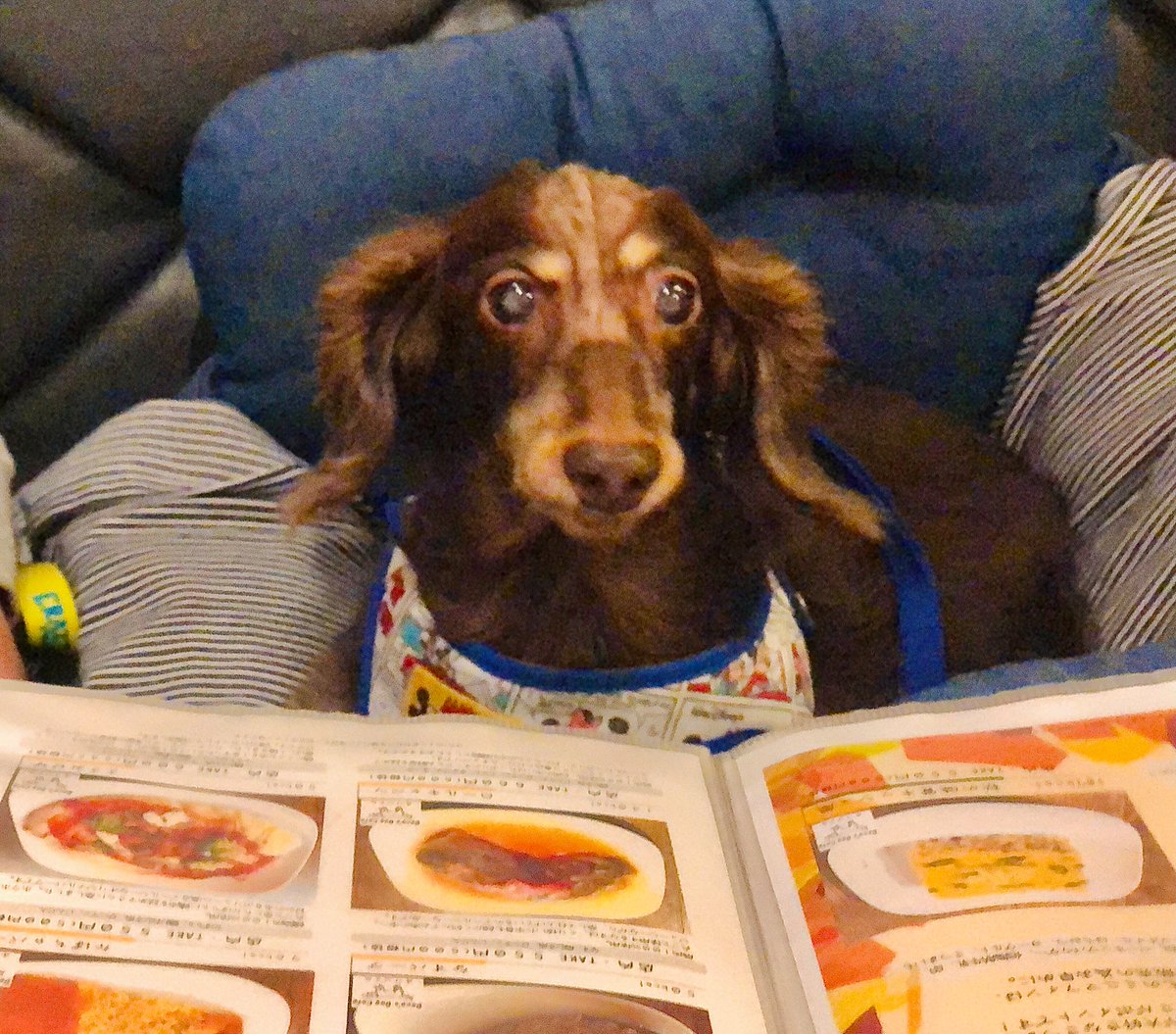 脳腫瘍 Twitter Search