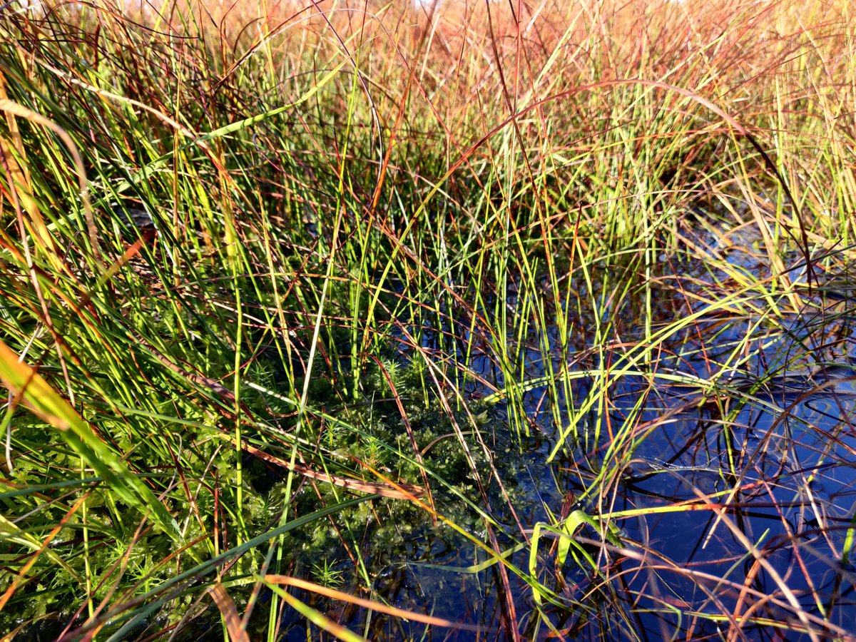 Mark Cubitt tweet media