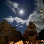 ツイートに含まれる画像