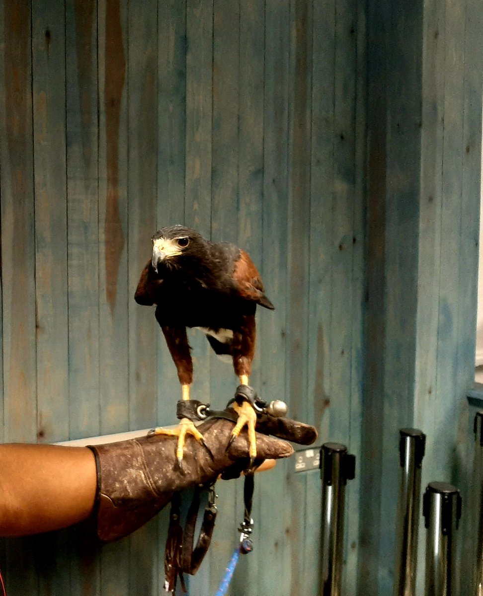 HMP Kirkham tweet media