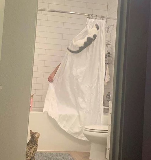 rabihalameddine's tweet photo. Morning shower https://t.co/782yyahJBL