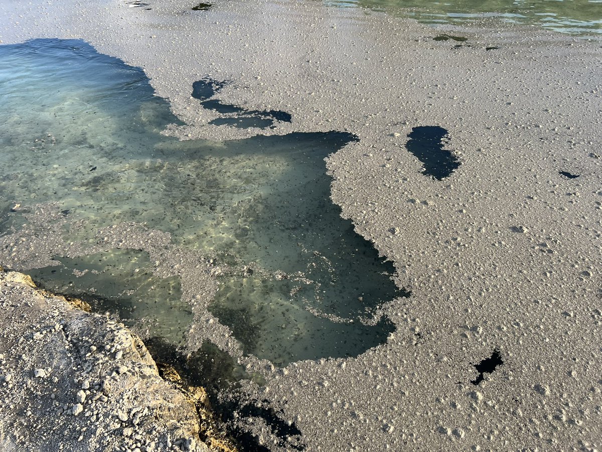 大量の軽石が沿岸に漂着 海底火山の研究者さんによる現地レポと各地からの漂着報告 千キロ離れた小笠原諸島から沖縄へ Togetter