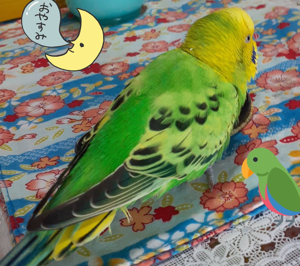 夏目友人帳 最新情報まとめ みんなの評価 レビューが見れる ナウティスモーション 9ページ目