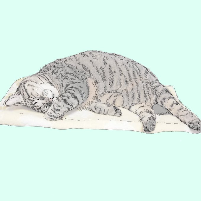 眠り猫のtwitterイラスト検索結果