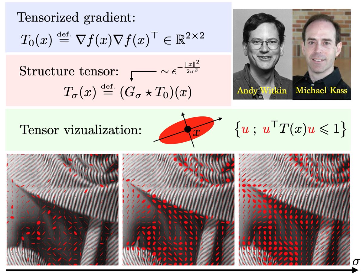 gabrielpeyre's tweet image. The structure tensor is the local covariance matrix field of the gradient vector field. It encodes the local anisotropy of an image. At the heart of anisotropic filtering and corner detection. en.wikipedia.org/wiki/Structure…