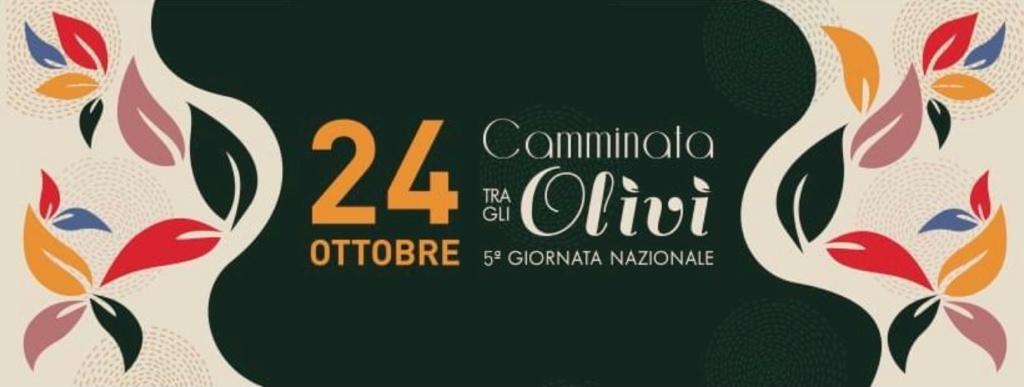 Comune di Rotondella tweet media