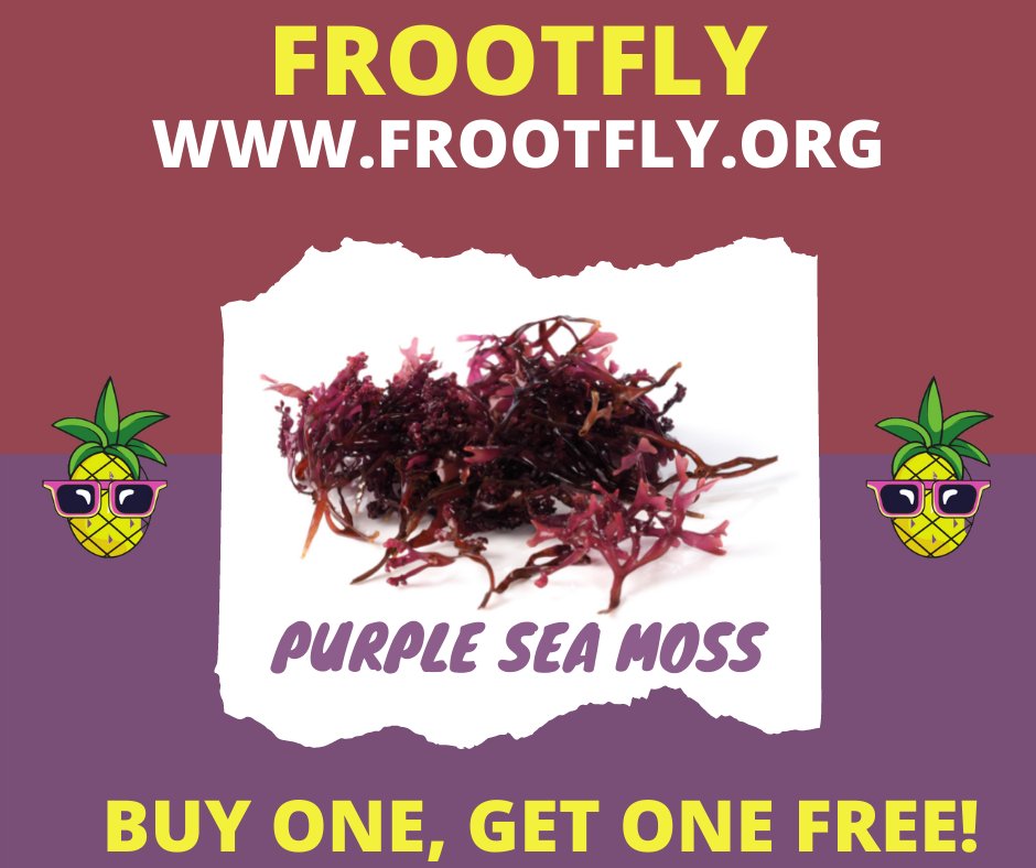 FrootFlyLLC tweet picture