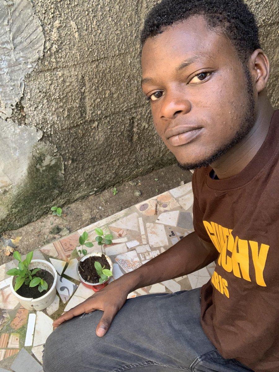 buba muha tweet media