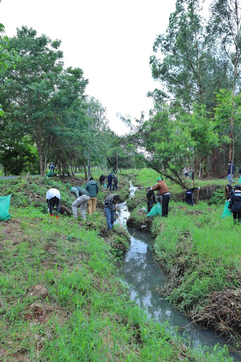 itaipuparaguay's tweet photo. #MingaAmbiental Con ayuda de los voluntarios limpiamos los cauces hídricos en el Parque Guasu Metropolitano, de donde retiramos gran cantidad de residuos. https://t.co/kfmXX6k2Bw