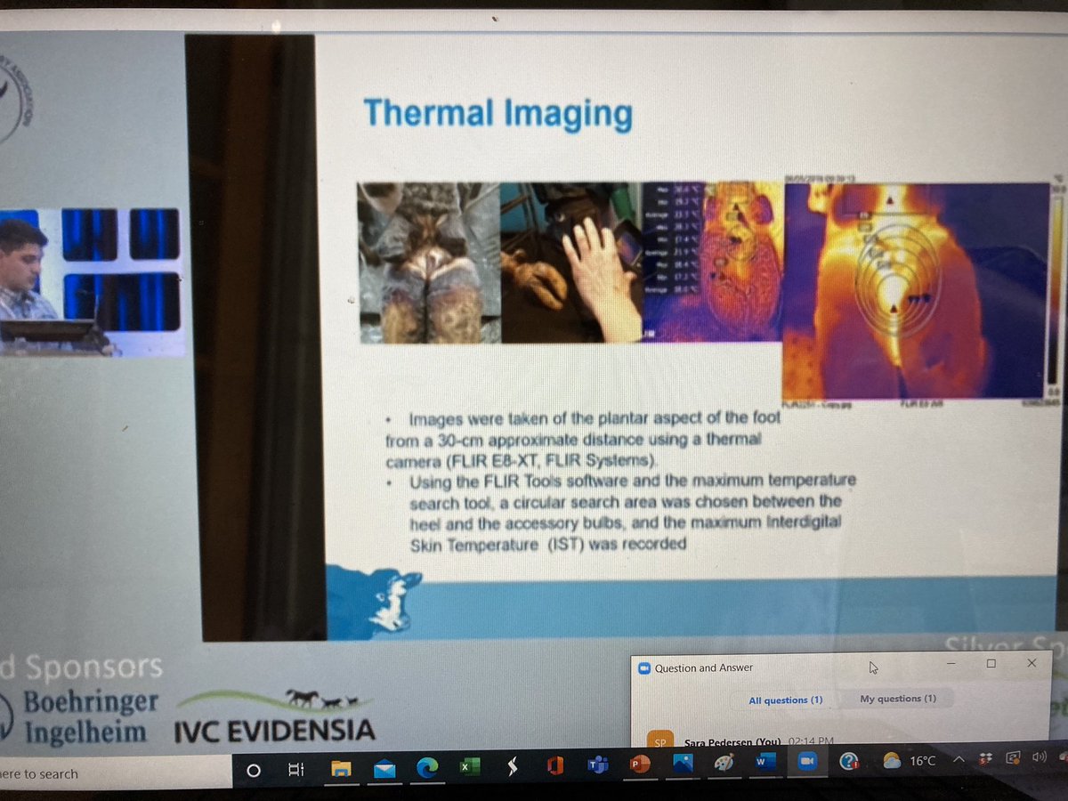 SaraPedersen3's tweet photo. Up next @theBCVA #lameness stream is Alkis from @UoL_LHW on use of thermal imaging in #digitaldermatitis
Lots of factors affected interdigital skin temperature. M2 (active) lesions has highest temp (by around 5 degrees!) then M1 & M4.1
#BCVAcongress2021 https://t.co/Zxuu7qBffQ