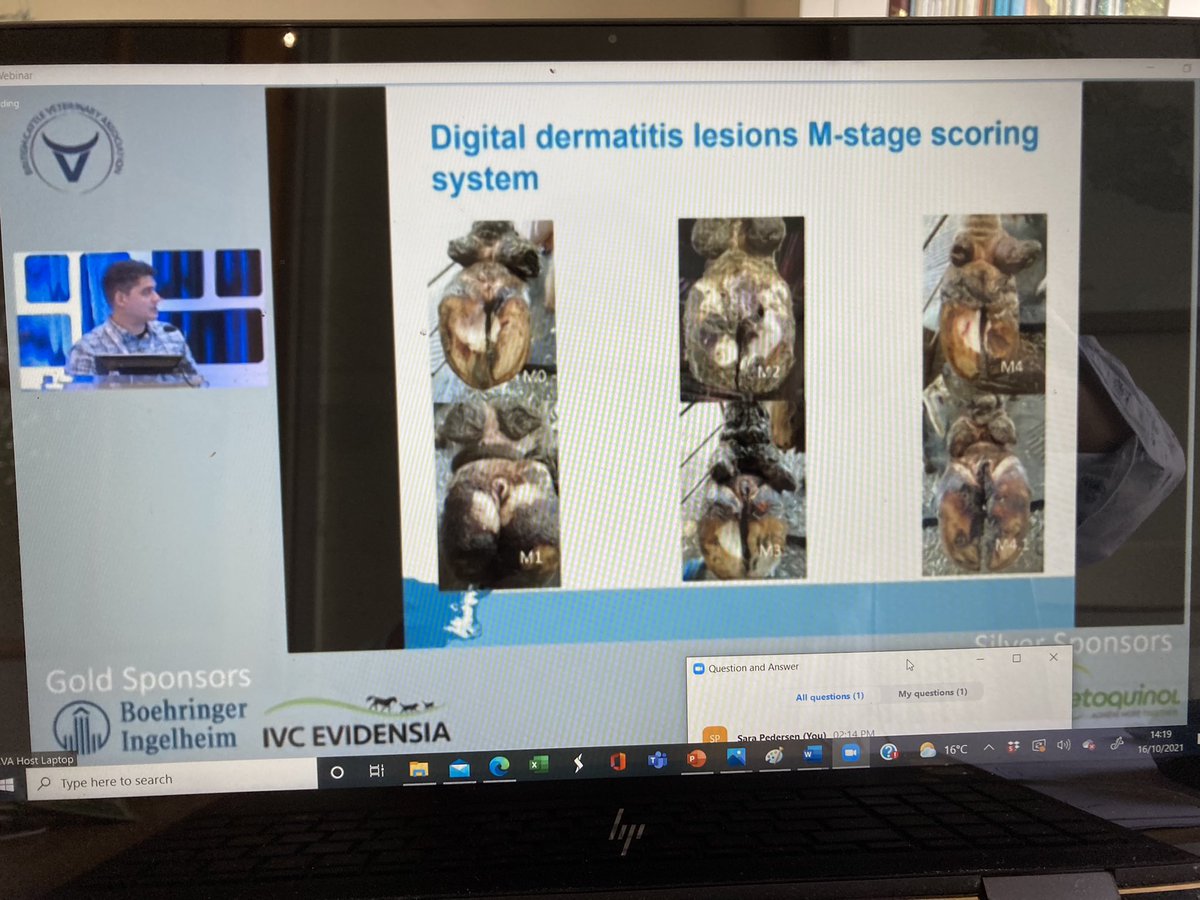 SaraPedersen3's tweet photo. Up next @theBCVA #lameness stream is Alkis from @UoL_LHW on use of thermal imaging in #digitaldermatitis
Lots of factors affected interdigital skin temperature. M2 (active) lesions has highest temp (by around 5 degrees!) then M1 & M4.1
#BCVAcongress2021 https://t.co/Zxuu7qBffQ