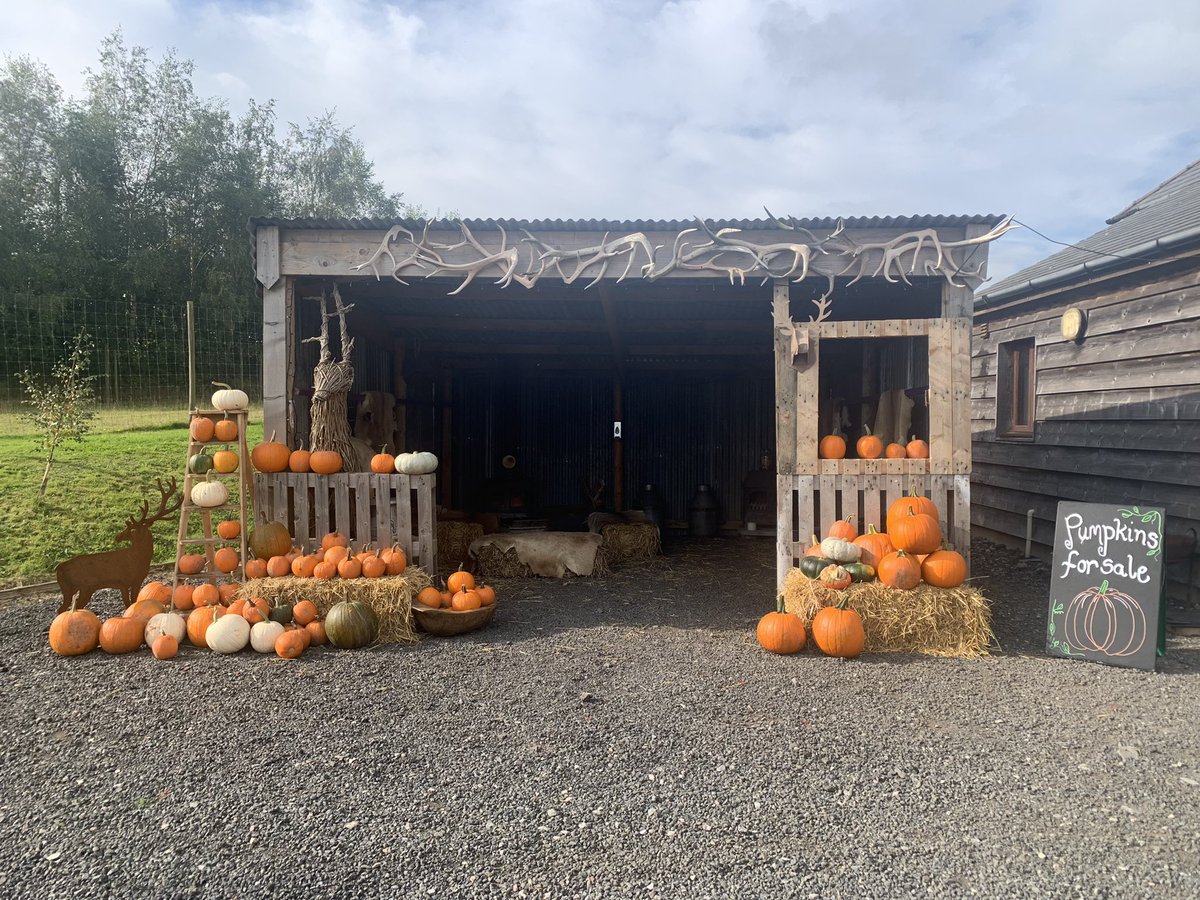 Welsh Venison Centre tweet media