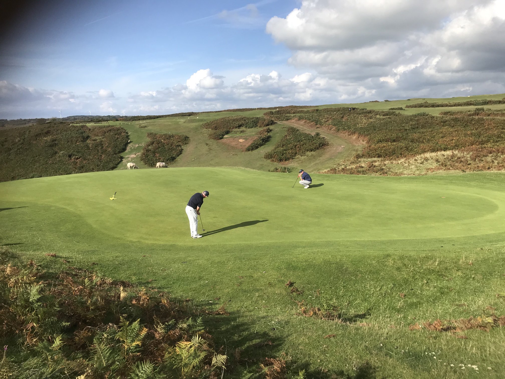Southerndowngolfclub Southerndowngc Twitter