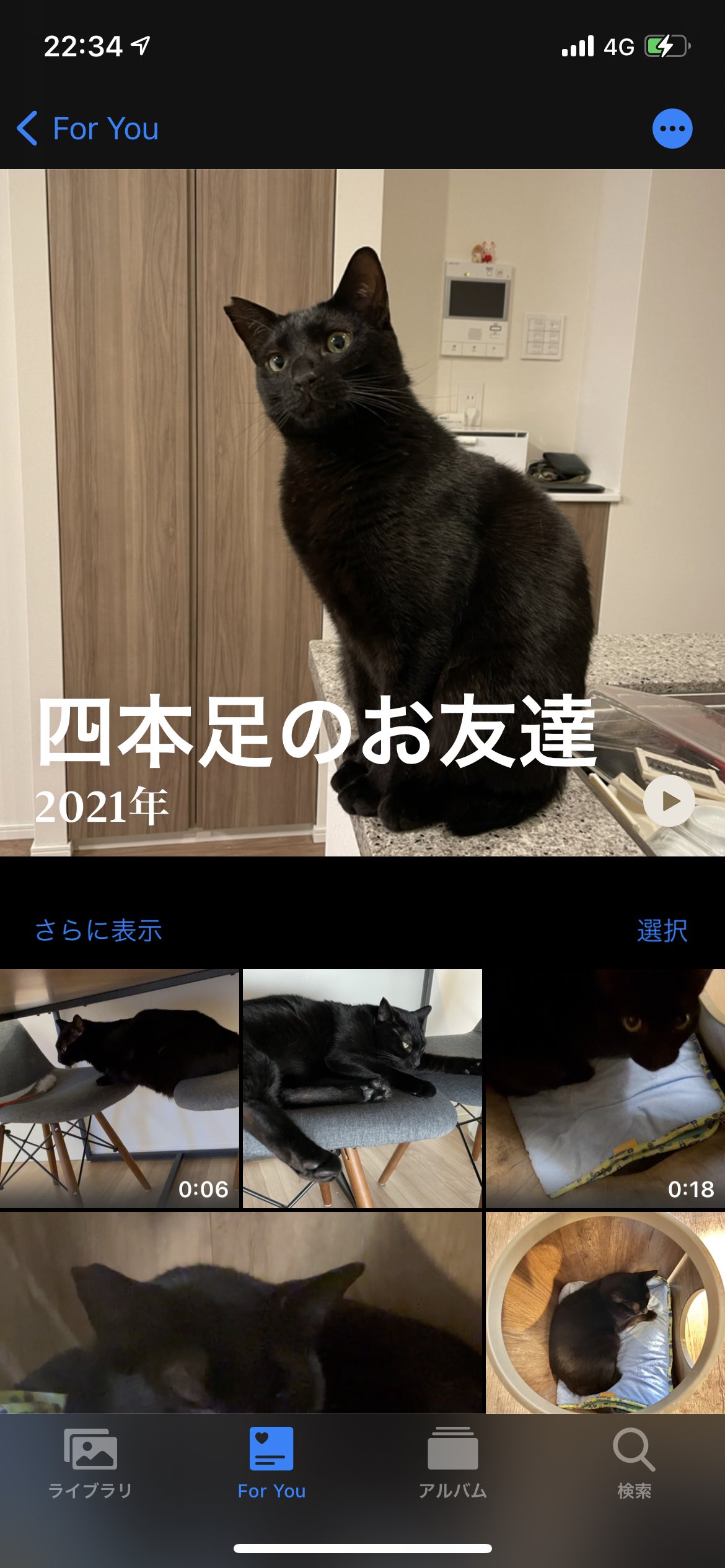 ねこさま確認用 | www.ddechuquisaca.gob.bo