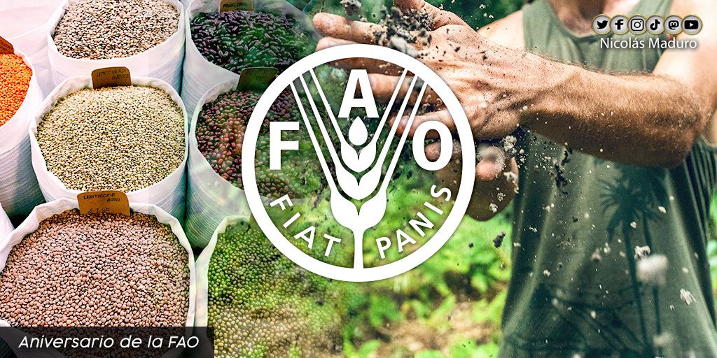 Desde Venezuela celebramos el 76º Aniversario de la Organización de la ONU para la Alimentación y la Agricultura (FAO). Reafirmamos nuestro compromiso con esta noble misión para garantizar la alimentación de los pueblos y contribuir con la erradicación del hambre en el mundo.