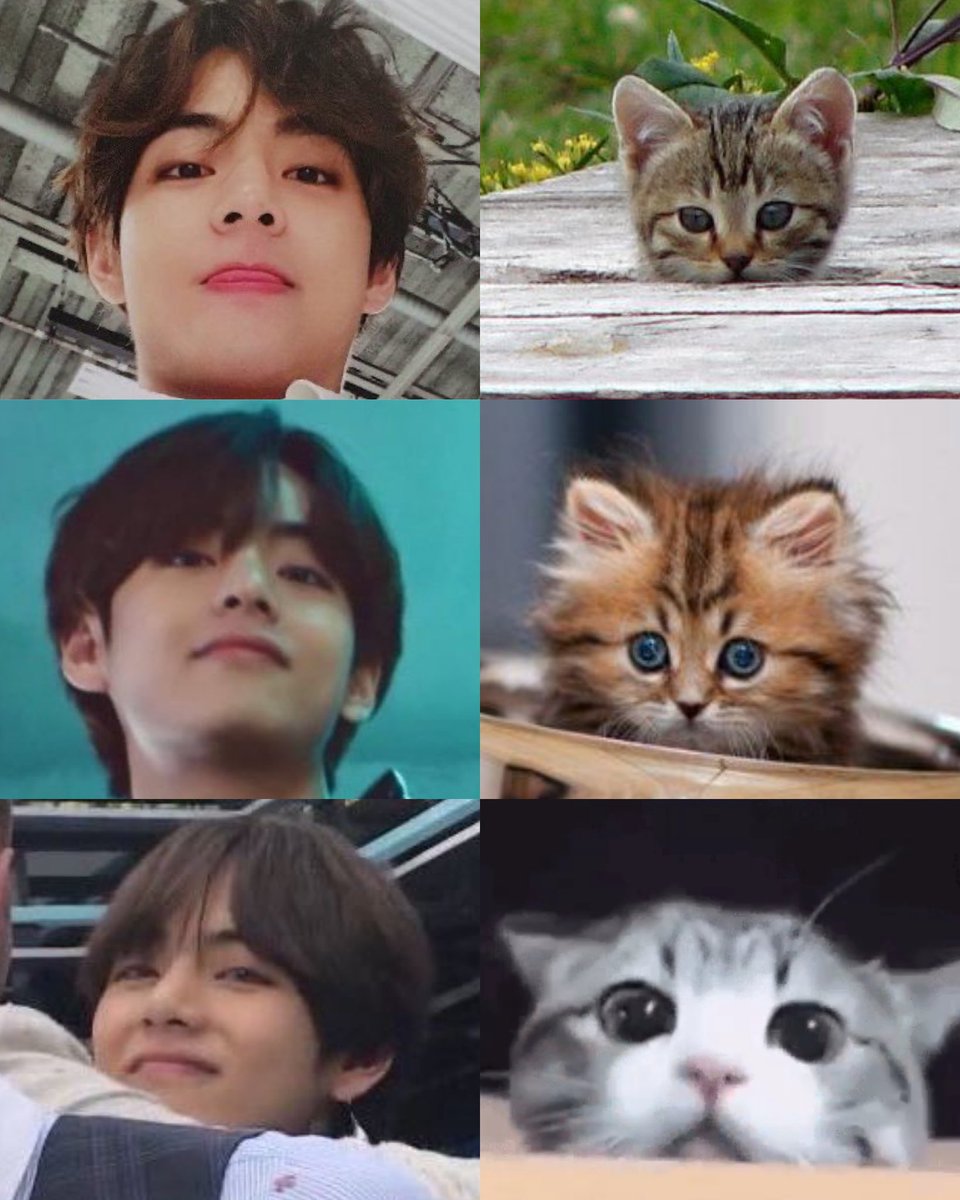 Tete kitten peeking :)