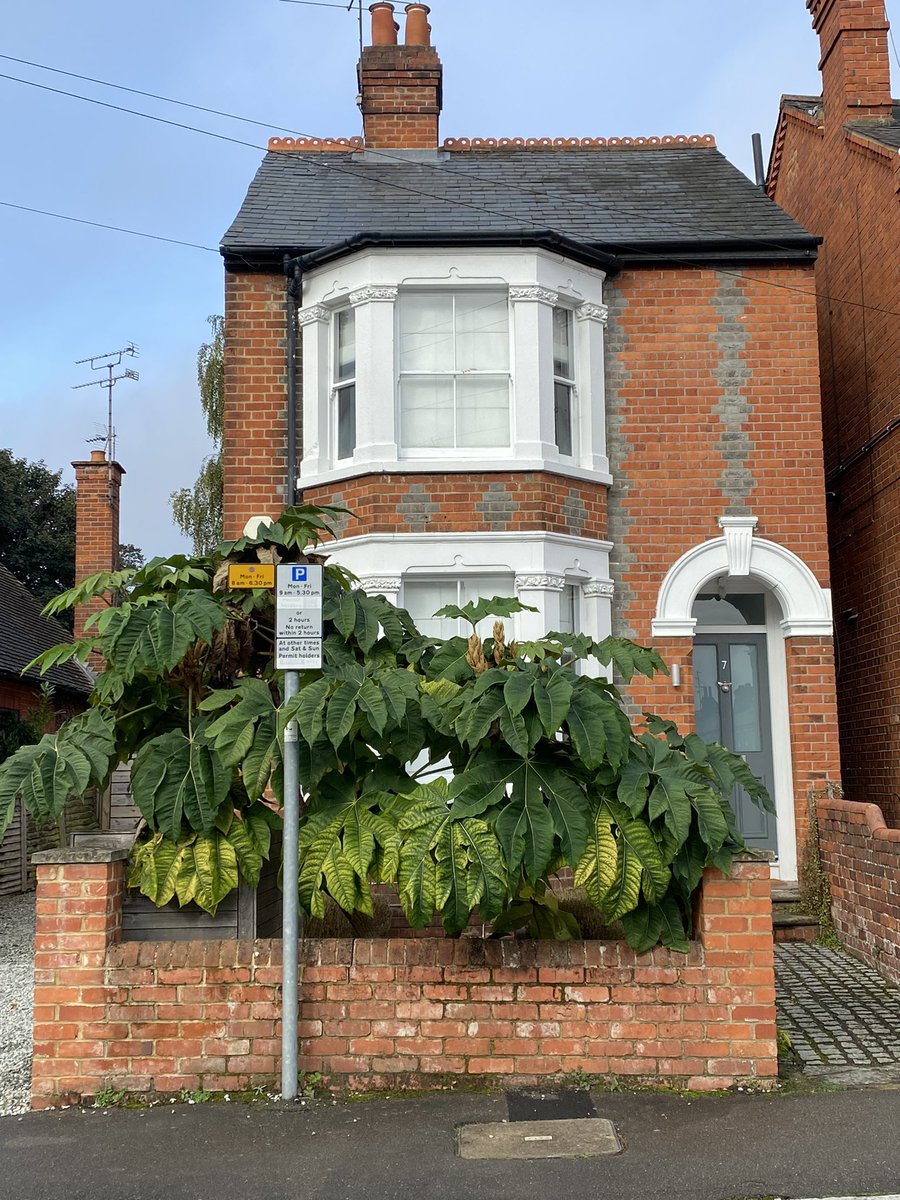 Paul Barney tweet media