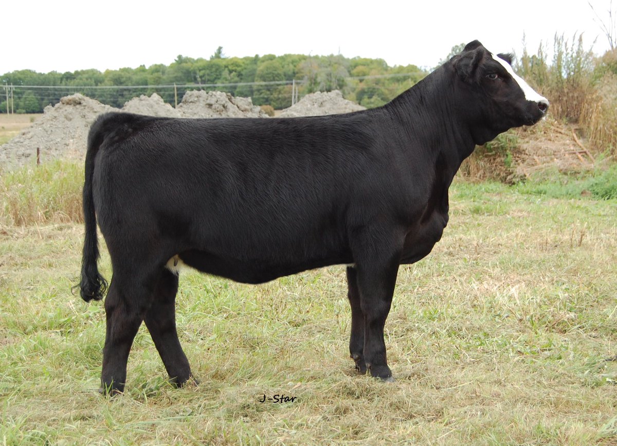 Dylan Foley tweet media