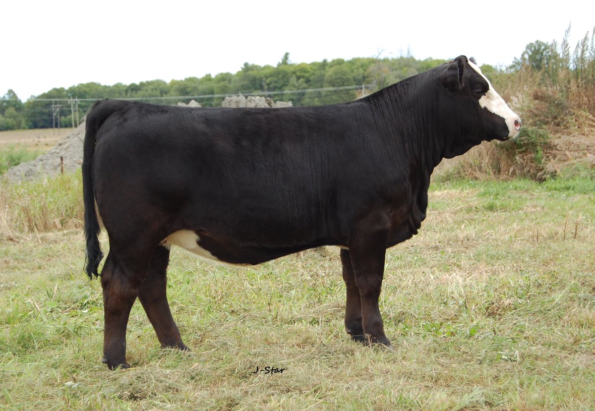 Dylan Foley tweet media