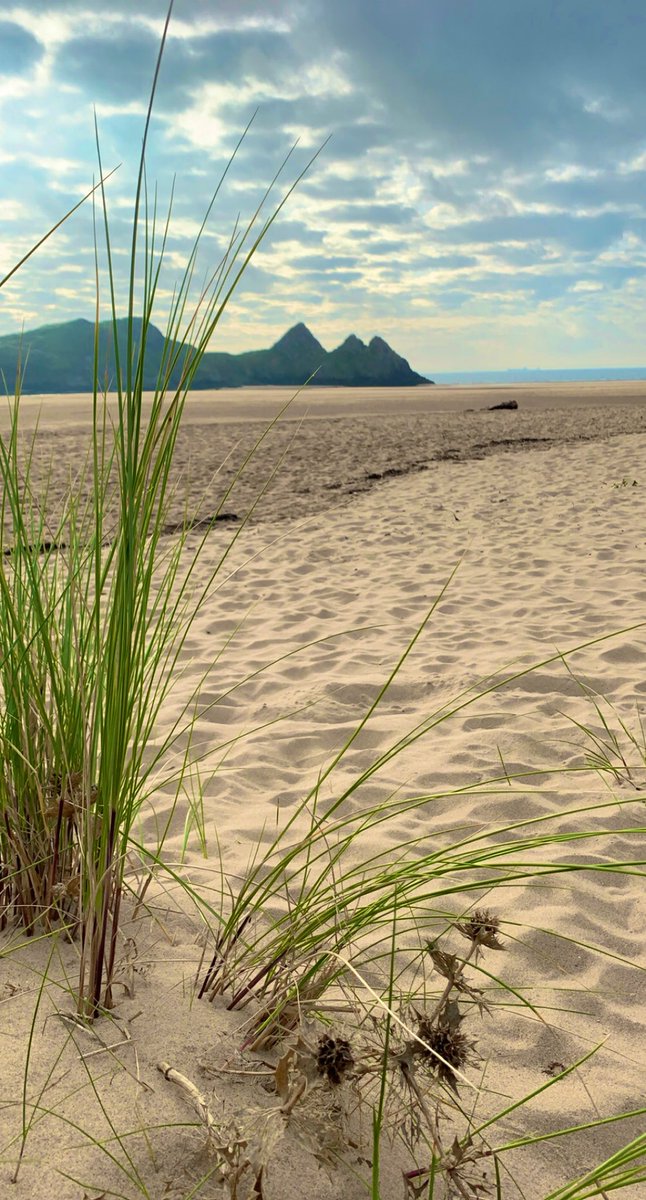 5amJones's tweet image. The Gower Peninsula… from sunrise to sunset… @SwanseaOnline10 @GowerTwit #Langland #Caswell #Threecliffs #Wormshead #seaswim #beautiful #home #uglylovely #seasidetown