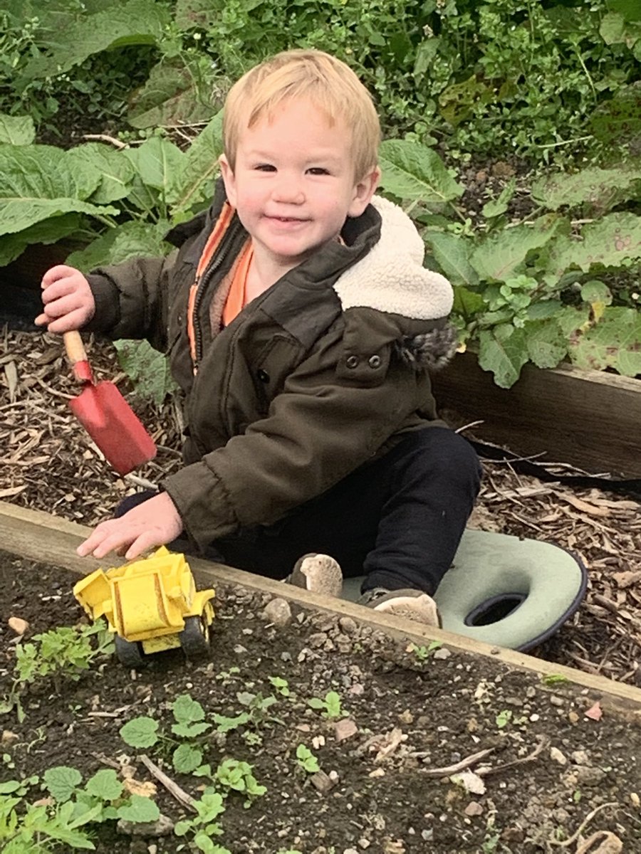 kelly_plot7's tweet photo. #littlegardener #growingwithkids #allotment #littlehelper https://t.co/hdJpXmWN1g