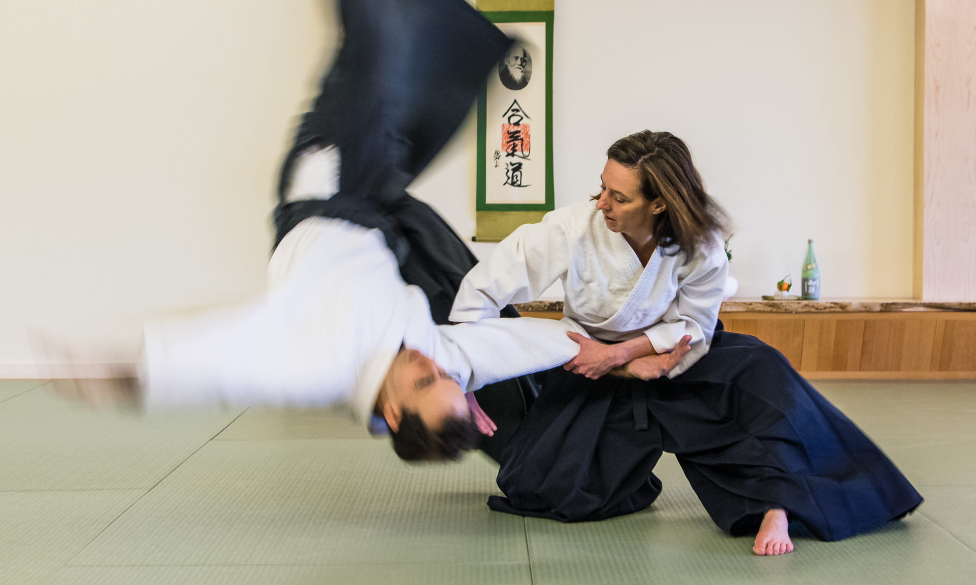 Lyn Alden on Twitter "Aikido is the Japanese martial art of using your