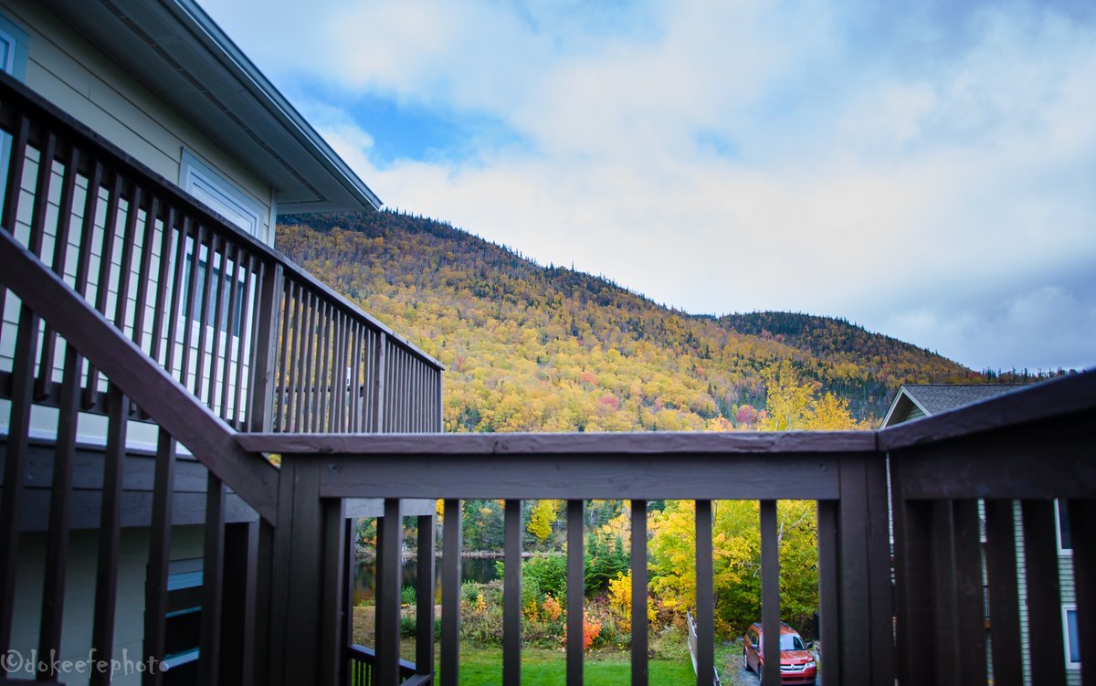 What's in your backyard?  #backyardviews #views #humbervalley #humber #river #humberriver #nlwx #steadybrook #newfoundland fall is amazing!!!