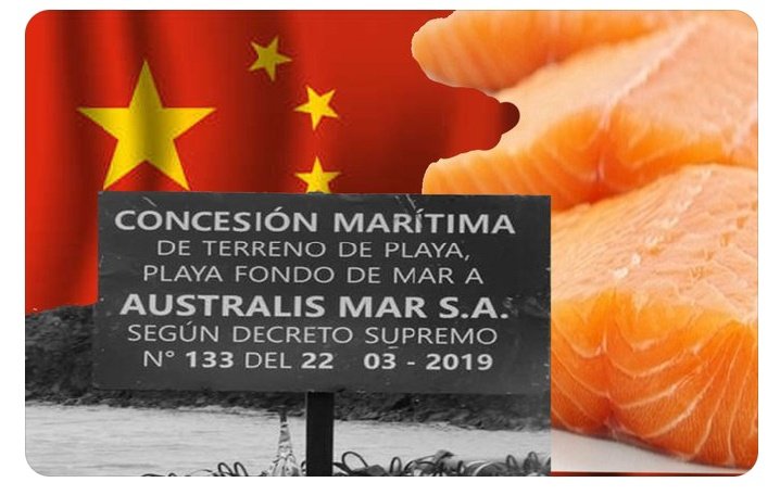 benonagual's tweet photo. @SubpescaCL @ifop_periodista @AGallardoLagno @meconomia @sernapesca @FAOChile Wow Subsecretaría @AGallardoLagno mencionó a las especies nativas como fuente de alimentación, pero los "salmones de sangre" no se tocan por se un lujo y al final habla de esta alianza entre pescadores y acuicultura?
Chile es zona de sacrificio para lograr el hambre cero?💀 https://t.co/wyCsx3rVdS