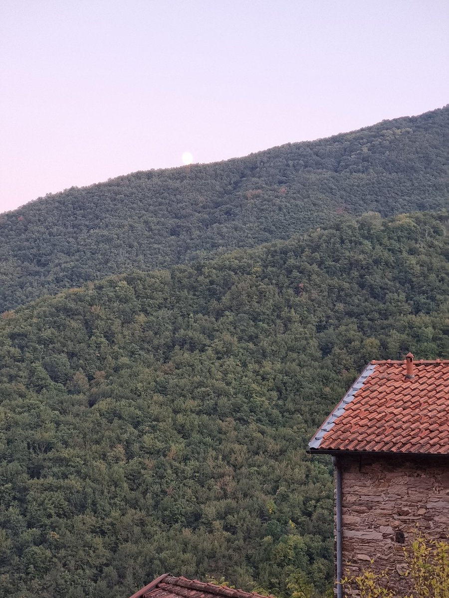 MCampomenosi's tweet photo. Oggi nella stupenda #Rezzo (IM), in #ValleArroscia, #Liguria per un bel convegno sulle #viedelsale tra #Nizza, #Genova e i #Savoia.
Bravo Sindaco #Adorno! https://t.co/U3ZXGV0Arj