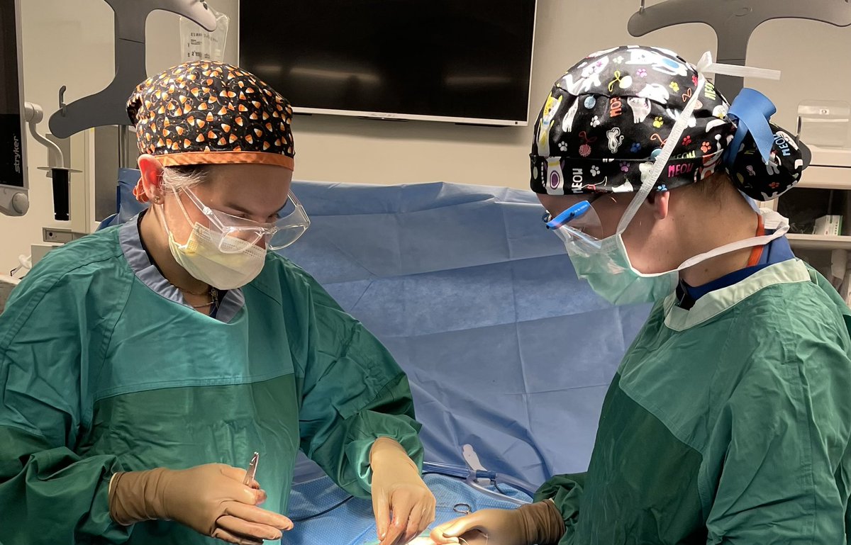 Kayla Widdowson, MD tweet media