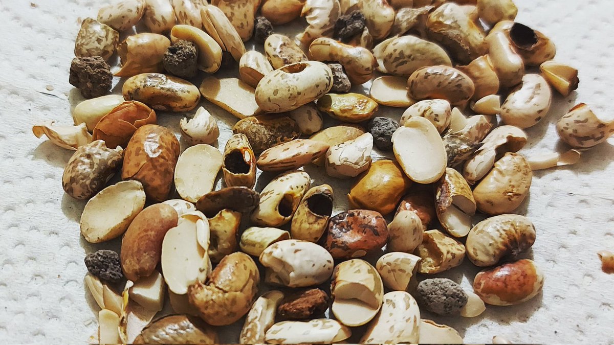 Haz una limpia de pensamientos y elimina los que no sirven. #Cavatips