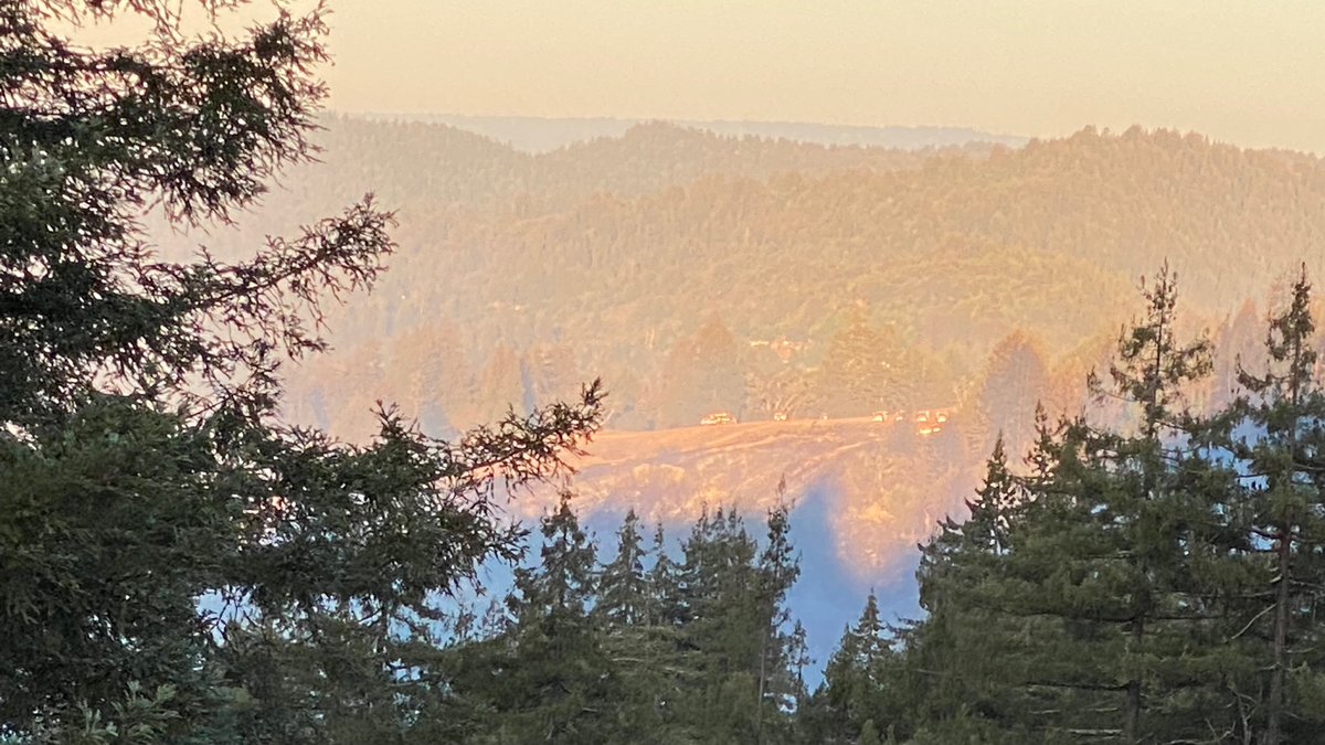 Richard Hanke tweet media