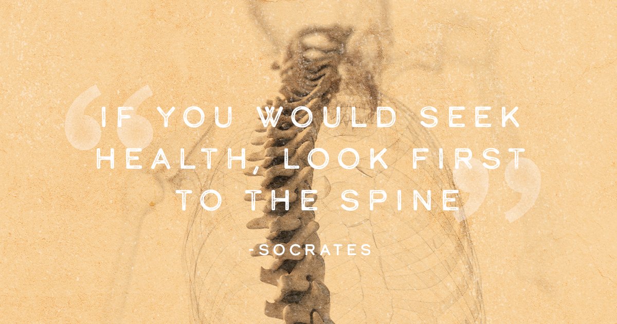 Max_Living's tweet photo. Today is World Spine Day! Without the spine, we wouldn't be able to move or function, which is why a misaligned spine causes so many problems within the body. Learn more about the importance of spinal health here: https://t.co/Va80NGpWwU https://t.co/dtjEs344u5