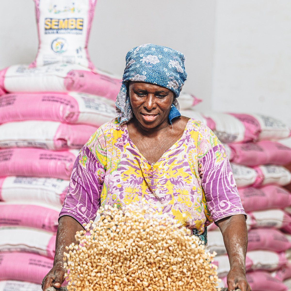 Celebrating our mill partners on #WorldFoodDay. These #foodheroes take maize, an East African staple with little nutritional value, and turn it into a #superfood, with the power to boost immunity, improve birth outcomes &amp; support healthy development. #SankuMillers, we salute you.