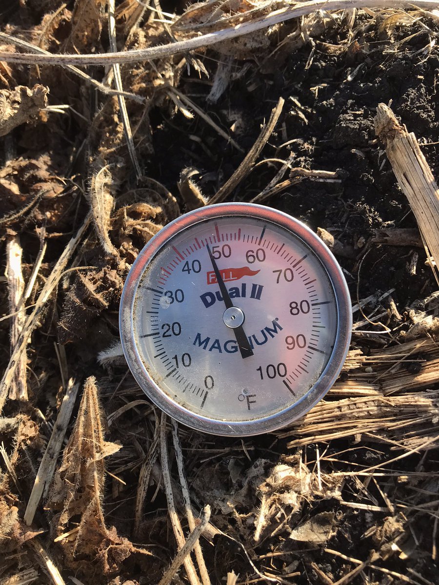 MHommez's tweet photo. Soil temps are trending down! #AlgonaLearningCenterPlot @NEWCooperative https://t.co/9xjNdIIedg