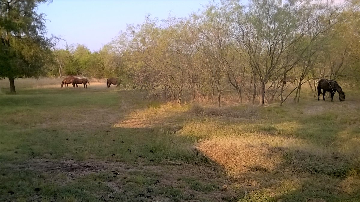 Ms.Understood 🍁 🇨🇦 🇺🇸 tweet media