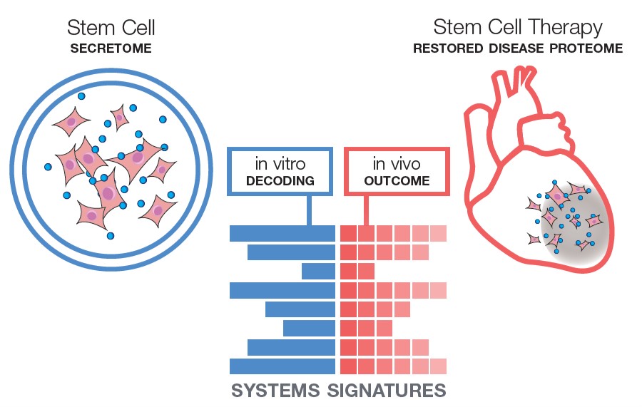MayoRegMed tweet media