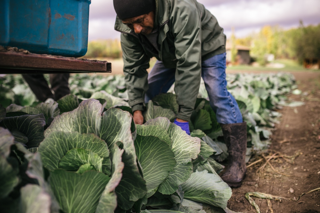Come to market! It's the perfect weekend to make cozy comfort dishes and we've got the fall veggies you need!