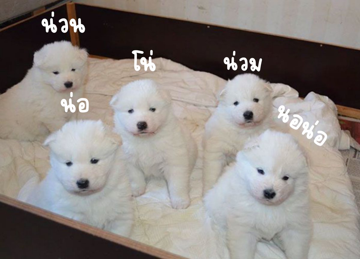 mary (@wedmerrcury) on Twitter photo 