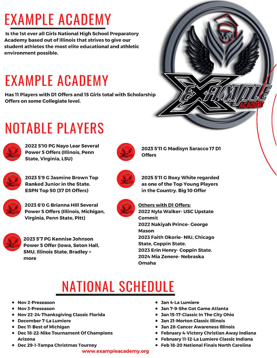 The Academy is not affiliated with any shoe brand. We are open to partnering with companies that are working to grow the platform for Girls/Women in Sports as well as leadership. Our girls are making History &amp; we want partners who are excited for their journey! #AcademyBusiness