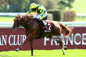 LezJunior's tweet photo. #Sealiway stuns rivals  in #britishChampionStakes  at #Ascot.. Great ride by #mickaelbarzalona https://t.co/RJMuCX3F9A