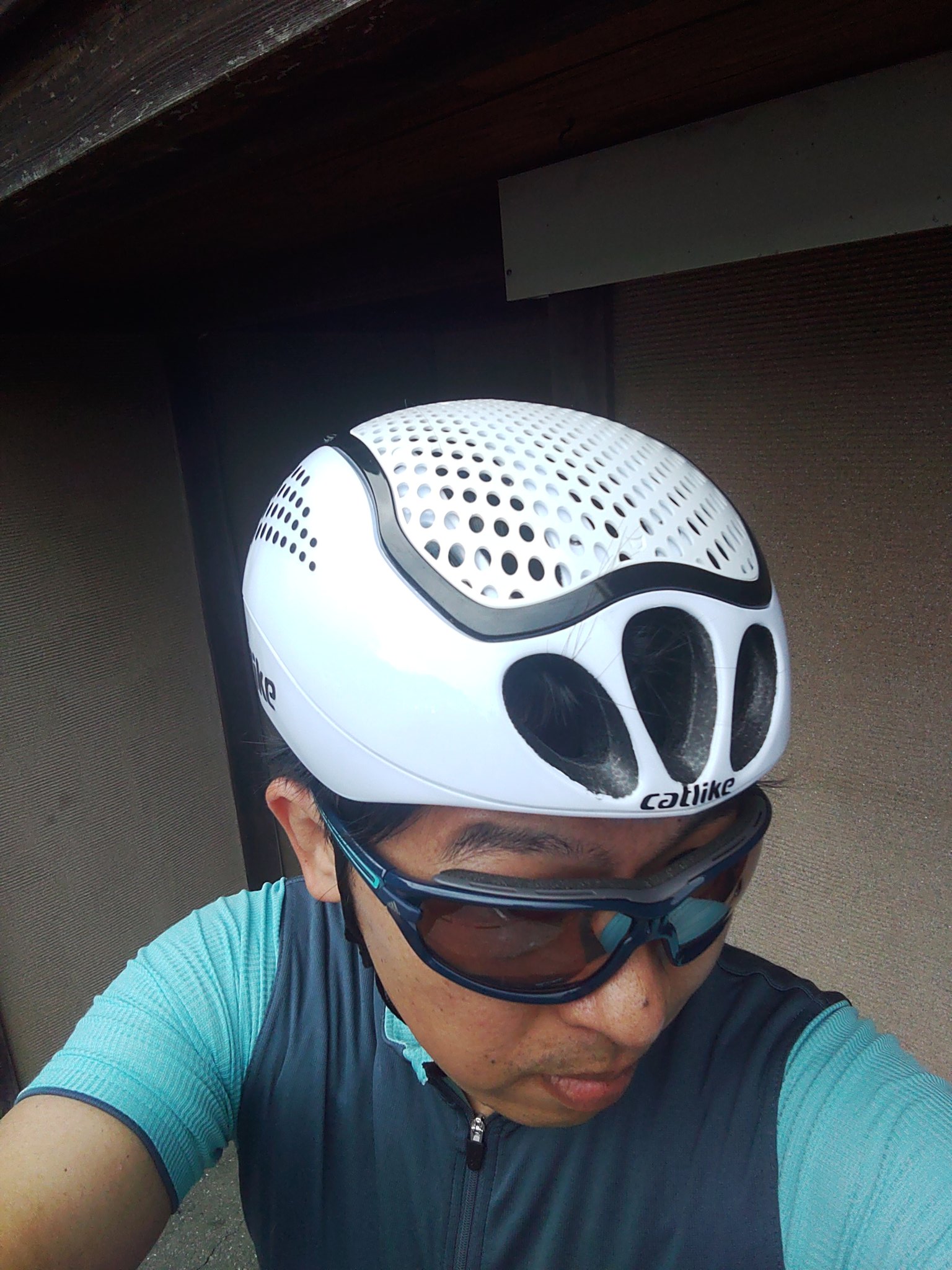 アルパカ on Twitter: 