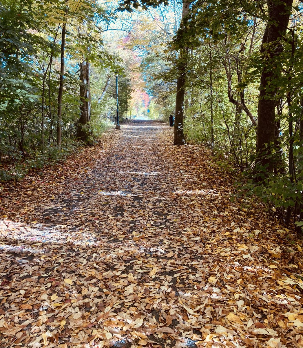 FHMacFarlane's tweet photo. #samsontrail #newglasgow #eastriver https://t.co/lVmg8BJkNk