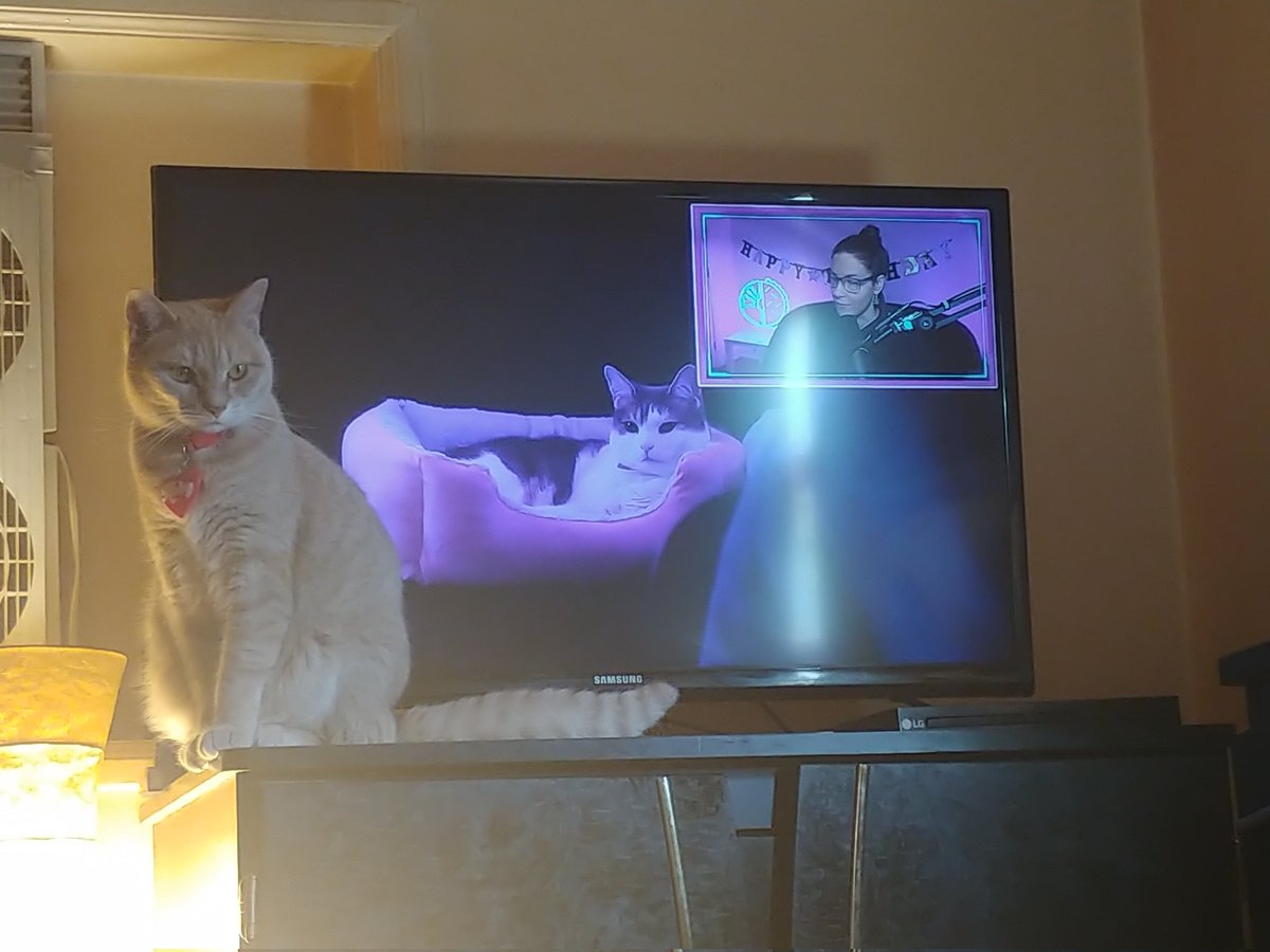 Ruby wanted to join Menchie for the <a href="/holotaco/">Holo Taco 💿🌮</a> <a href="/nailogical/">Cristine with no ‘H’ 💿</a> Birthday Party Launch! 💖😆💖😆💖 #holotaco #simplybirthday2021