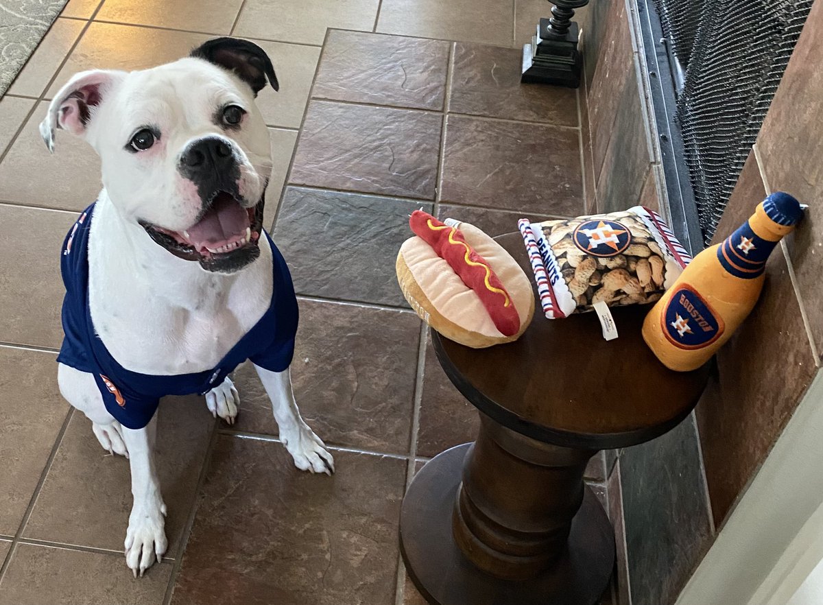 What time is it? Let’s go Astros! Ready for game #2 sporting #1 <a href="/TeamCJCorrea/">Carlos Correa</a> #ForTheH  #paytheman @Jaci_the_bulloxer on IG  ❤️🧡💛 <a href="/astros/">Houston Astros</a>