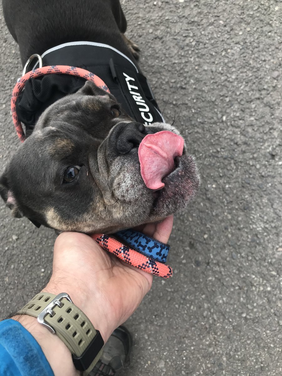 Chris Crow tweet media