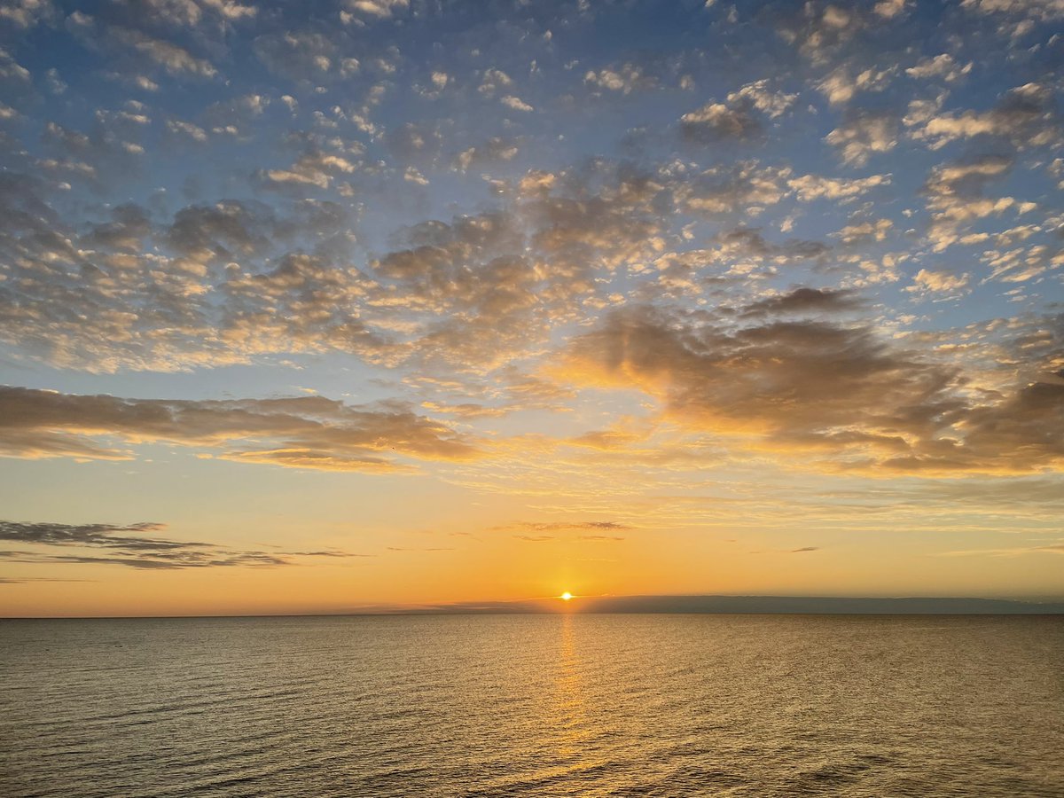 Jason Krogman tweet media